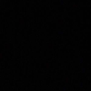 Meet your Posher, Isabel